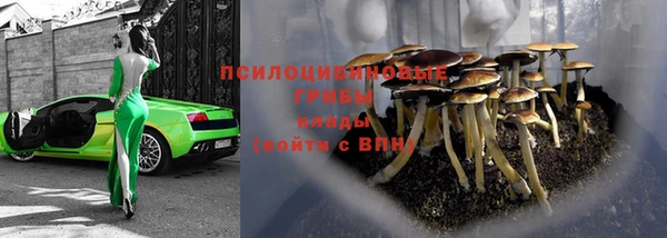 прущие крисы Наволоки